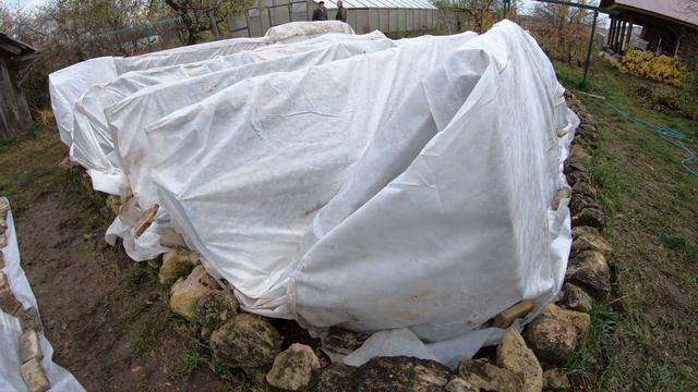 Идеальное укрытие для роз. Часть 2 смотреть онлайн