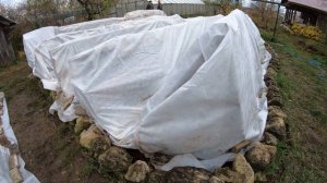 Идеальное укрытие для роз. Часть 2