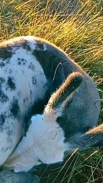 4 июля 2024 г. смотреть онлайн