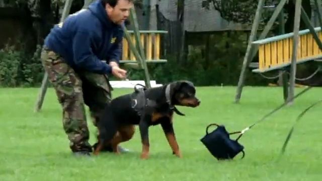 opk9teams' freya 2 смотреть онлайн