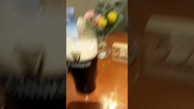 alcohol free steak in the tropics смотреть онлайн