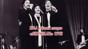 Неужели - ВИА Синяя птица 1978, Борис Белоцерковный и Евгения Завьялова #синяяптица
