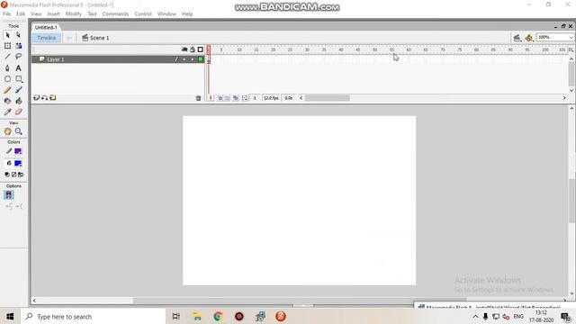 Adobe Flash Download and start using смотреть онлайн
