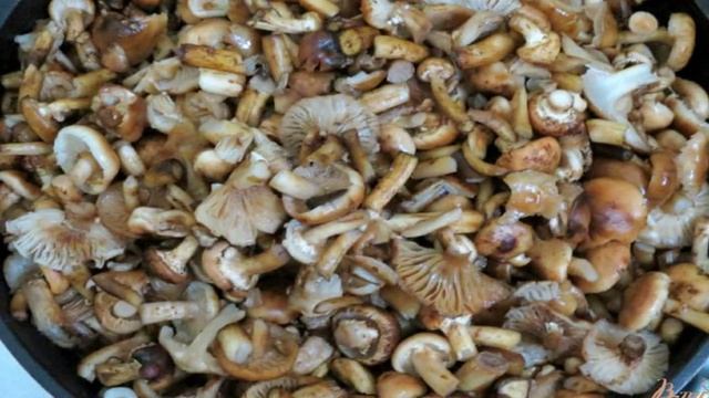 Сборник рецептов