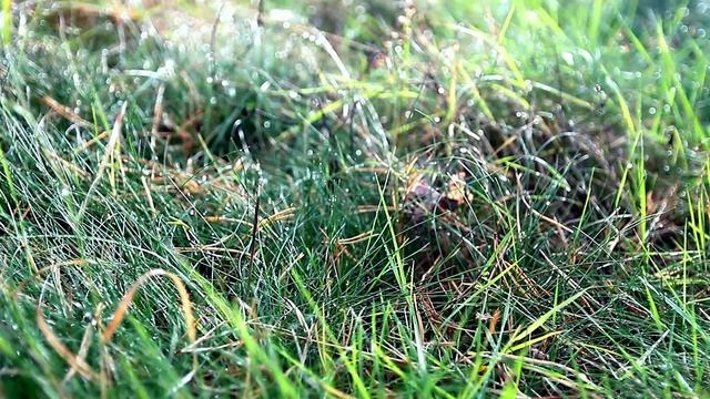 Остров 2016. Силуэт, Дрейк и Юля.