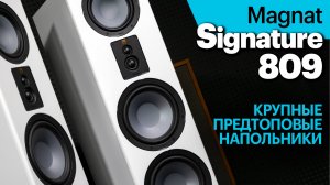 Magnat Signature 809  — крупные предтоповые башни за 290 000 рублей