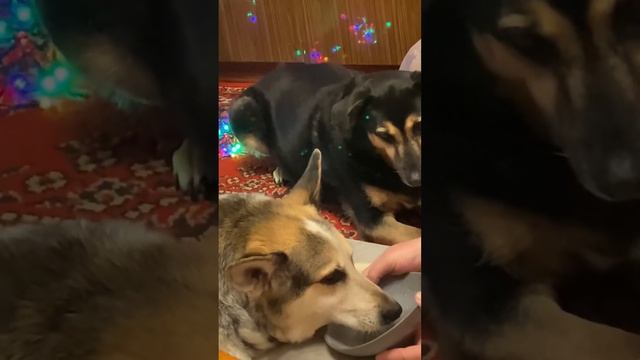 Устали? Отдыхайте с нами🤗 смотреть онлайн