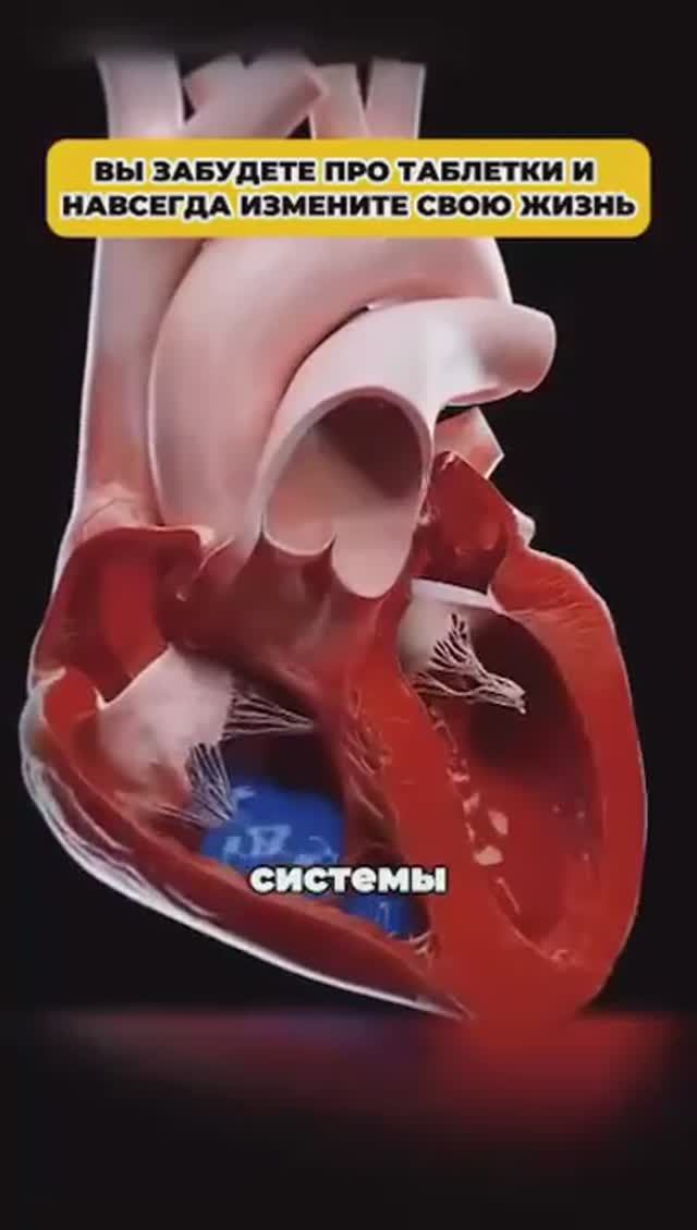 О чем молчат врачи? Одна минута в день и вы забудете о болезнях смотреть онлайн