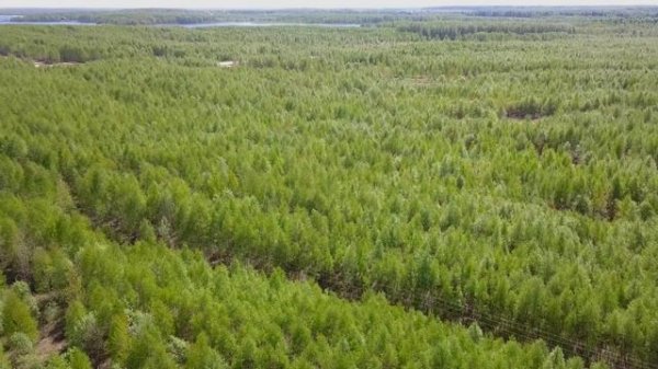 Тимонькино