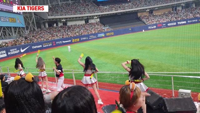 The Evolution of Korean Baseball Cheerleading 라인업송 도중 파울볼에 그만...#치어리더 #cheerleader | KIA TIGERS 202 смотреть онлайн