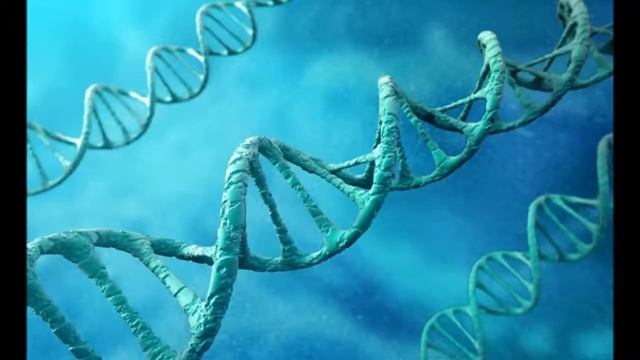 (Плейлист 1) Хипноза и НЛП 34: Свързаност смотреть онлайн