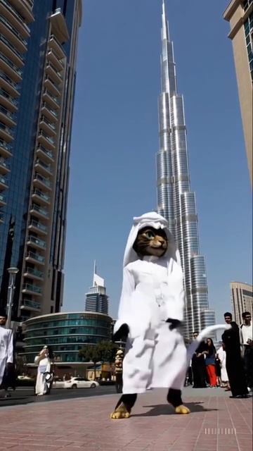 The Smug Sheikh Cat at Burj Khalifa смотреть онлайн