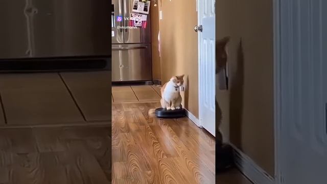 для настроения 😉 смотреть онлайн