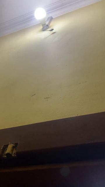 កន្ទុយរំ fly high смотреть онлайн