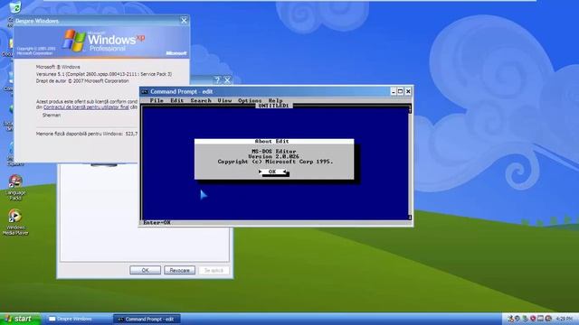Windows XP Professional with Service Pack 3 (Romanian) in VMWare Workstation! смотреть онлайн