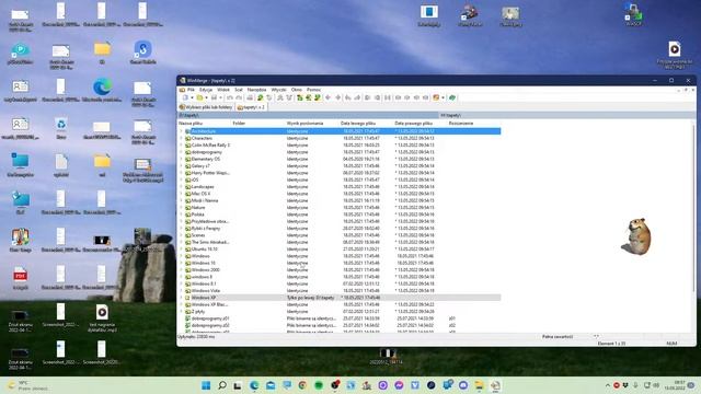 WinMerge, czyli przydatny program do porównywania folderów i plików tekstowych dla Windows смотреть онлайн