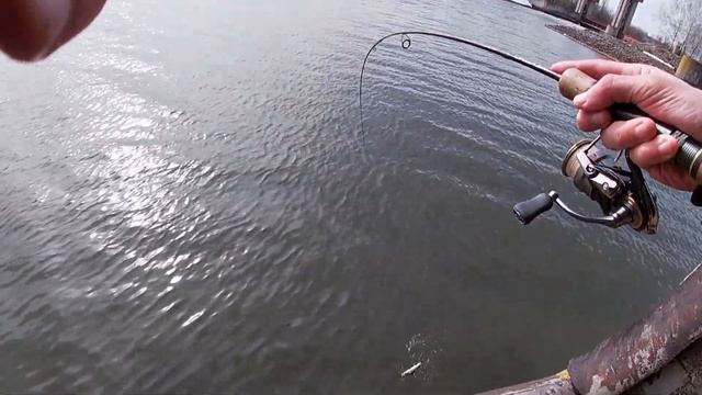 Москва река, Спиннинг, Клев Отличный! Раздача рыбы весной / Даже Дурак Поймал #2 смотреть онлайн