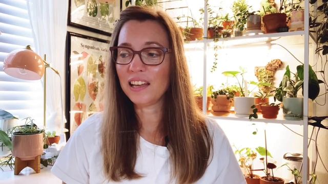 Houseplant Unboxing And More: Dischidia 💚