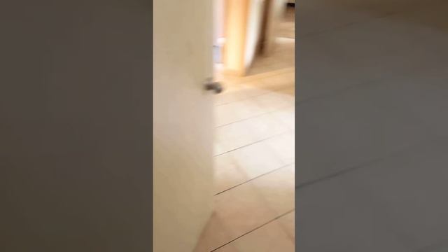 Respect, Von Resort Golden Beach 🇹🇷, family suite, two rooms! смотреть онлайн