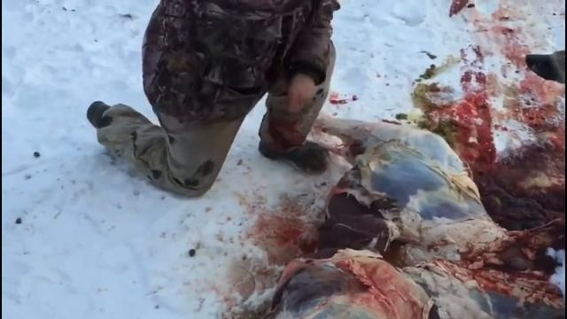 Тест шкуросъемных ножей и тяпки от Ножевой Мастерской Сковородихина смотреть онлайн