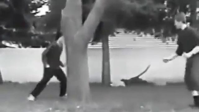 смешное упражнение на шпагах смотреть онлайн
