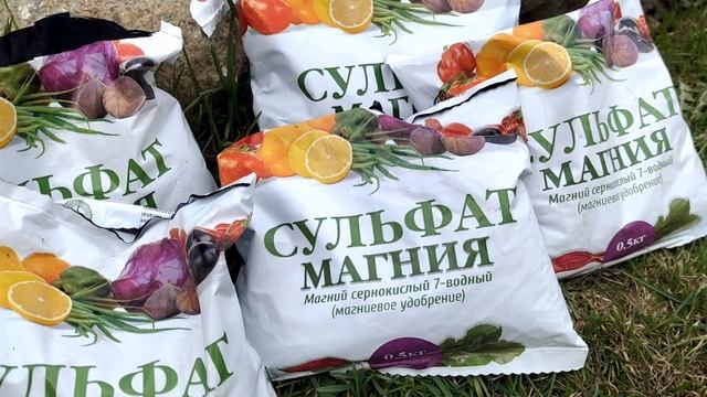 Уход и подкормка (вторая) розСтригу лапчатку✂️ Весна в саду️ смотреть онлайн