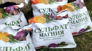 Уход и подкормка (вторая) розСтригу лапчатку✂️ Весна в саду️