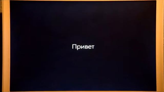 Прямая трансляция пользователя никита пшеничный смотреть онлайн