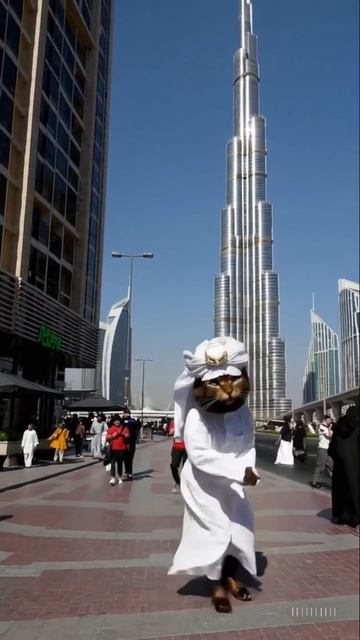 The Sheikh Cat’s Dubai Dance Party смотреть онлайн