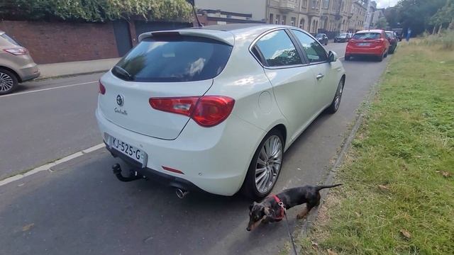 Vlas-Auto автомобілі з Європи під ключ. +380677592251. +491756258340. смотреть онлайн