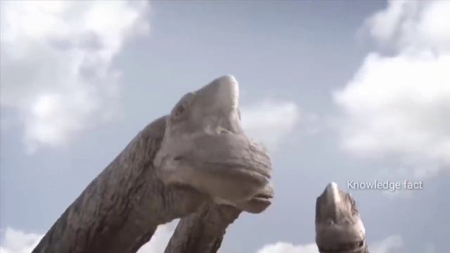 Top 5 Most Aggressive Animals/ Amazon rainforest Tribe/Jungle ke Adivasi/Amazon Forest Tribe смотреть онлайн