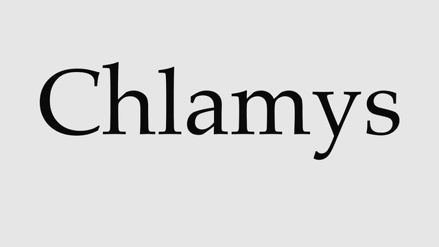 How to Pronounce Chlamys смотреть онлайн