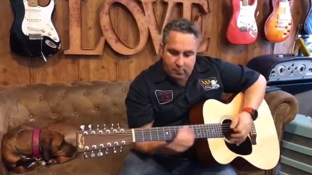 FLASH TONE DEMOS MARTIN 12 STRINGS LEFTY PLAYING BLUES смотреть онлайн