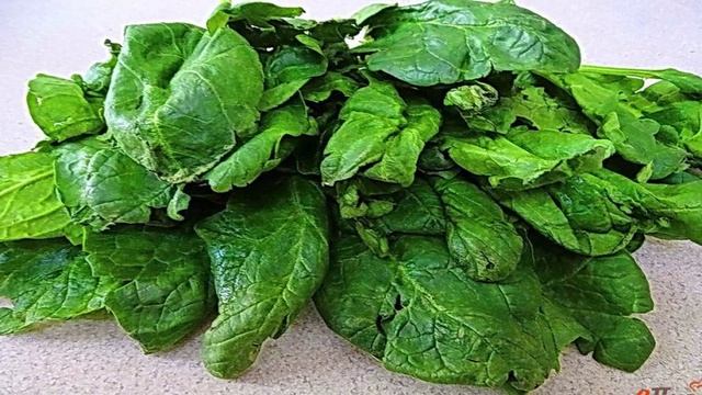 Книга рецептов