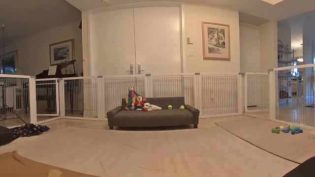 Live Camera Axis M3007 смотреть онлайн