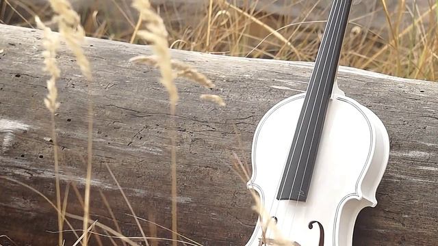 Скрипка от души для всех.1 смотреть онлайн