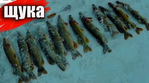 ЛОВЛЯ ЩУКИ НА БАЛАНСИР И ЖЕРЛИЦЫ! ЛОВЛЯ ЩУКИ В ПУРГУ. РЫБАЛКА. ЖЕРЛИЦЫ. ЩУКА.