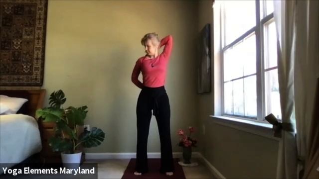 Retriever Recharge: Qi Gong - Seated Qi Gong w/ Mo - Wednesday, April 28th смотреть онлайн