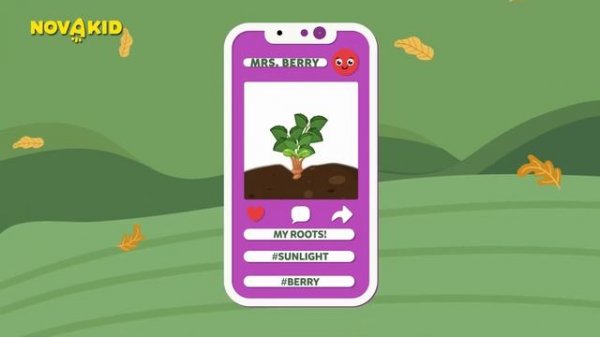 How plants Grows  Learn Plant Life Cycle in English | Fun for Kids!