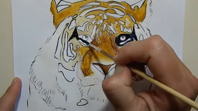 Coloring tiger смотреть онлайн