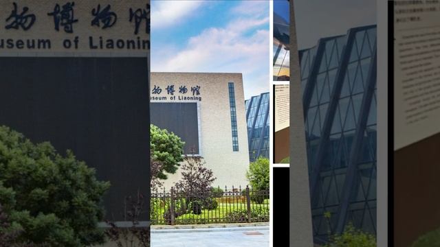 Динозавры в опасности: почему подделки окаменелостей угрожают нашему знанию о прошлом #shorts смотреть онлайн