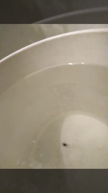 Зимняя блесна