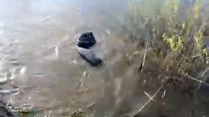 парня кидают в болото