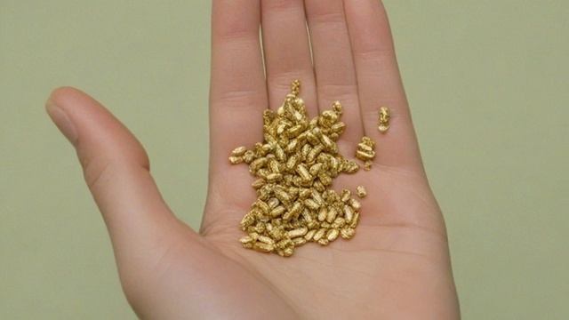 Виноград голд фингер характеристика и описание сорта - Ягоды