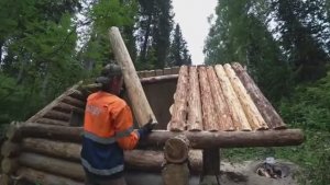 СТРОЮ ИЗБУ  ИЗ ВЕТРОВАЛЬНЫХ ДЕРЕВЬЕВ,ВСТАВИЛ ЕВРООКНО. НАДВИГАЕТСЯ ГРОЗА, ЗАКАНЧИВАЮ КРЫШУ (ПОТОЛОК)