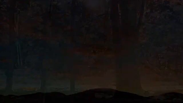 Cynthia Soroka-Dunn Fine Art Nature Photographer смотреть онлайн