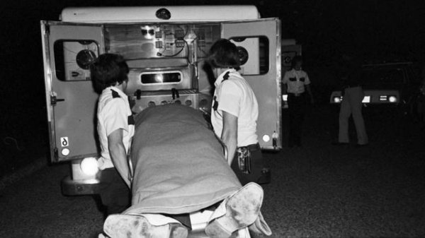 Тёмная сторона высшего общества Каллен и Присцилла Дэвис