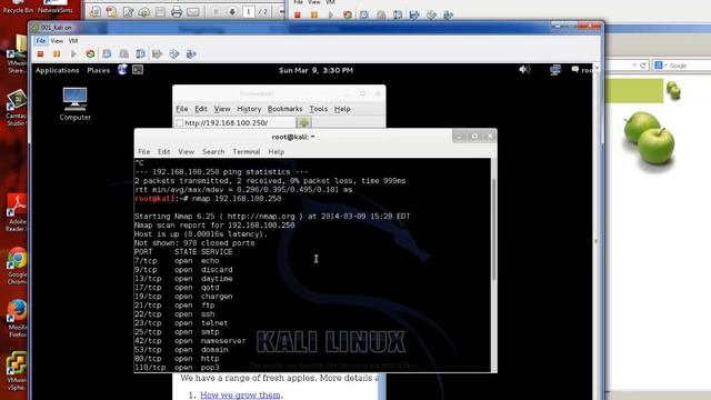 CSN10102 Coursework (Introduction): Penetration test смотреть онлайн