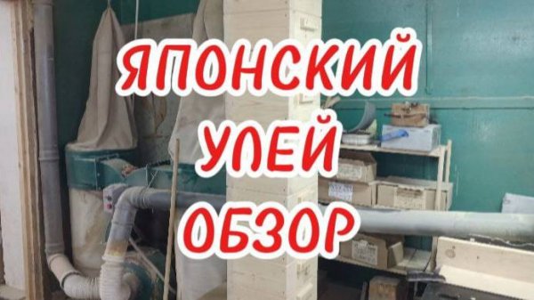 ЯПОНСКИЙ УЛЕЙ. ОБЗОР