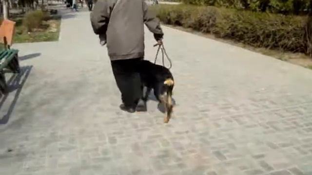 джеки смотреть онлайн